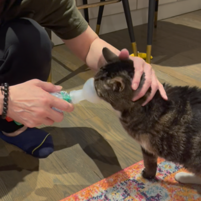 Home Visits + Medicine - Image 2